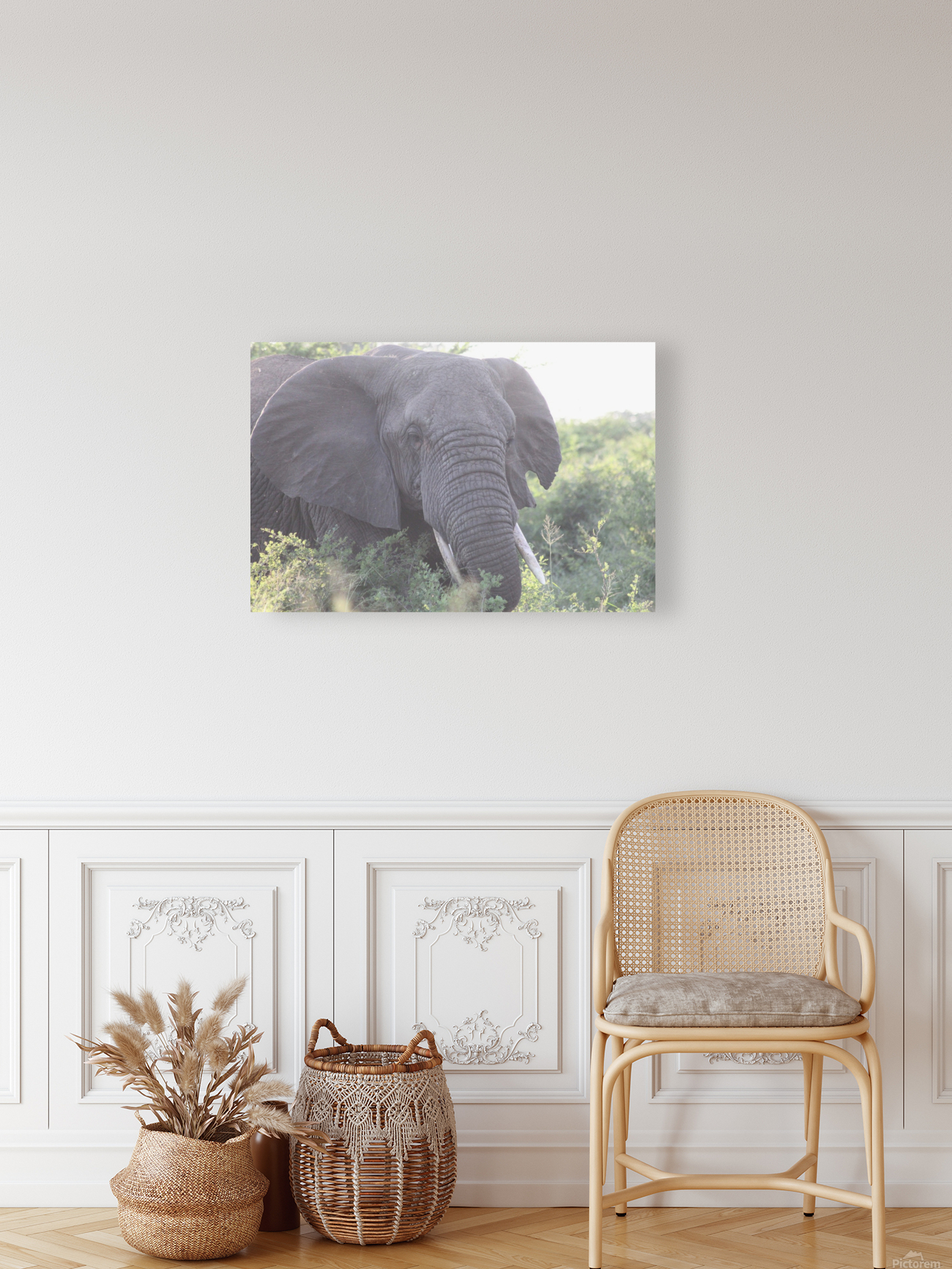 Elephant 3 Reproduction