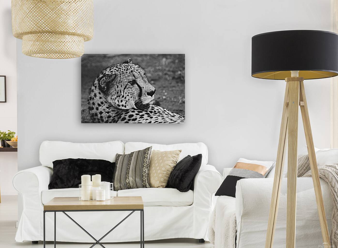 BW Cheetah Reproduction