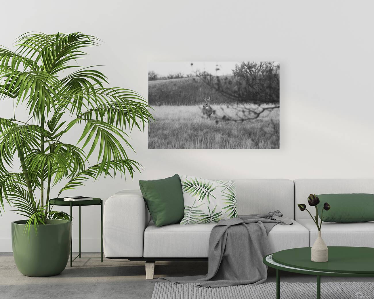 BW Deer Reproduction