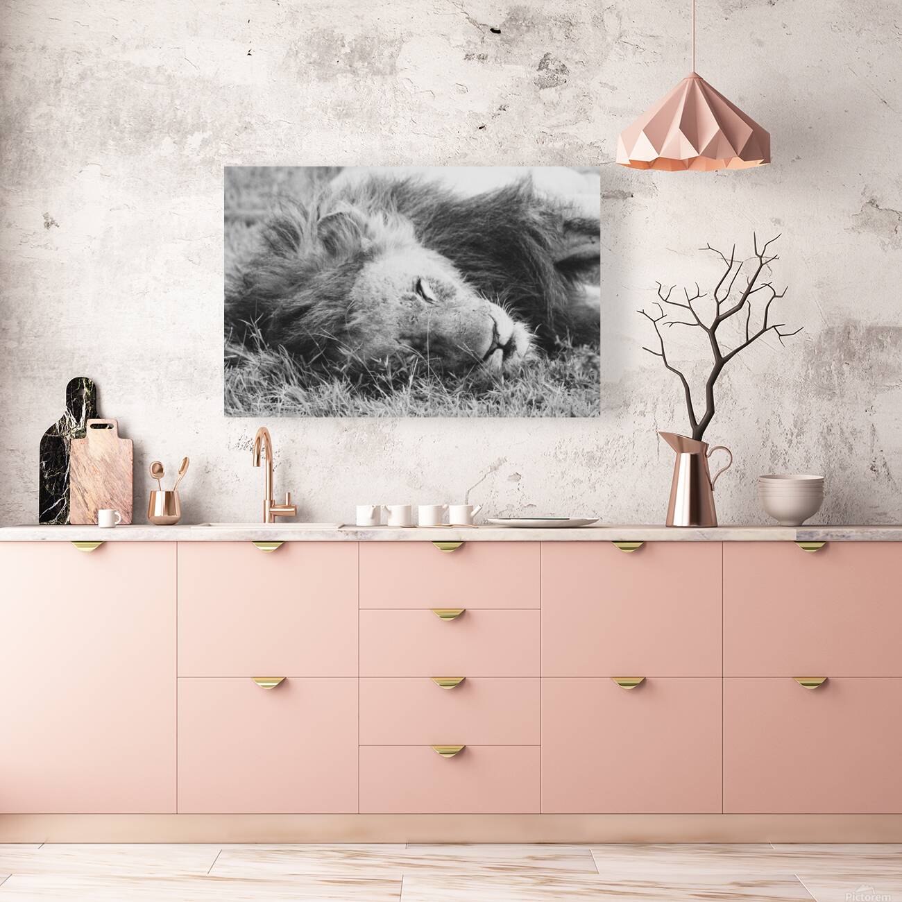 BW Lion Reproduction