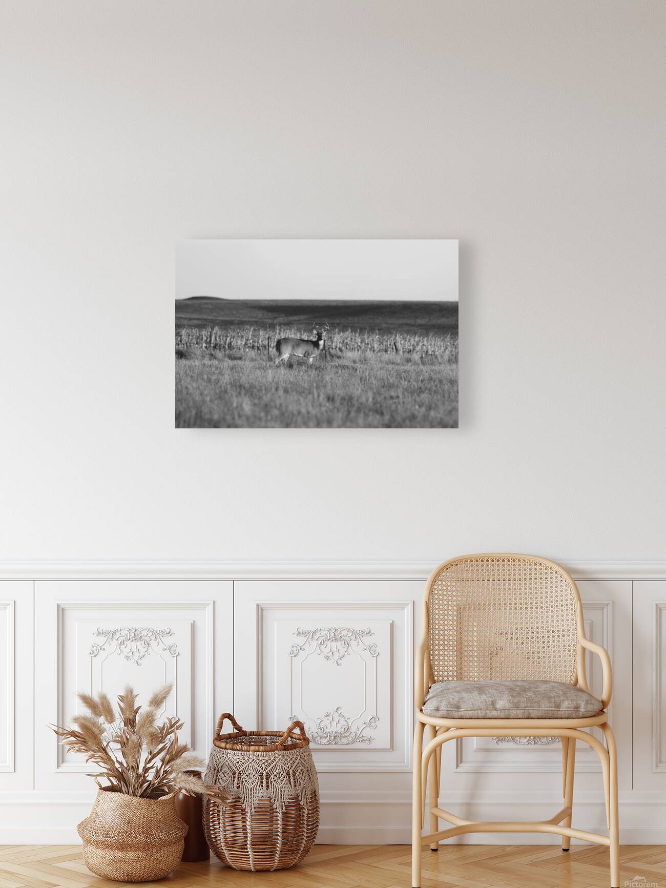 BW Deer2 Reproduction