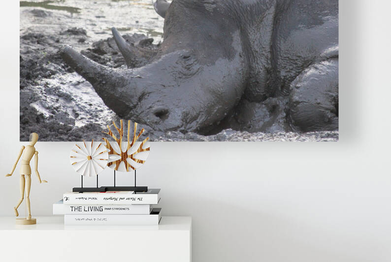 Sleepy Rhino Reproduction