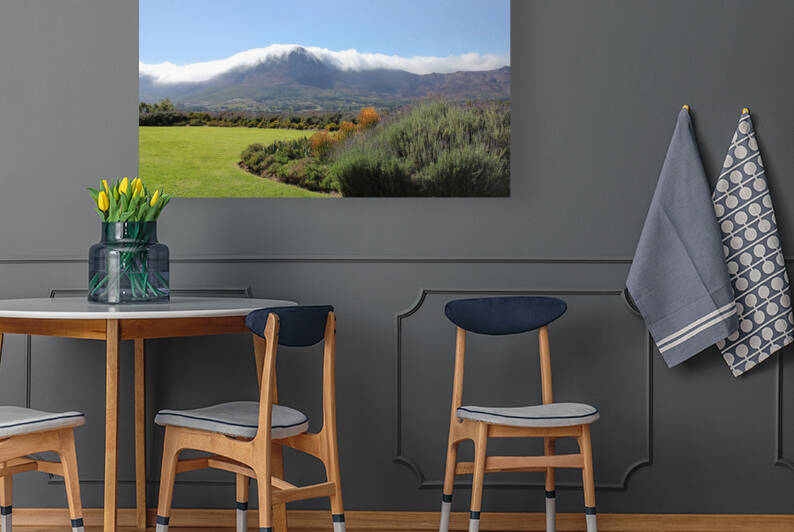 SA Mountains Reproduction