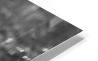 BW Cheetah HD Metal print