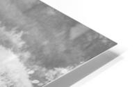 BW wild HD Metal print