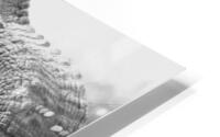 BW Ele3 HD Metal print