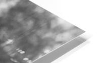 BW Ele HD Metal print