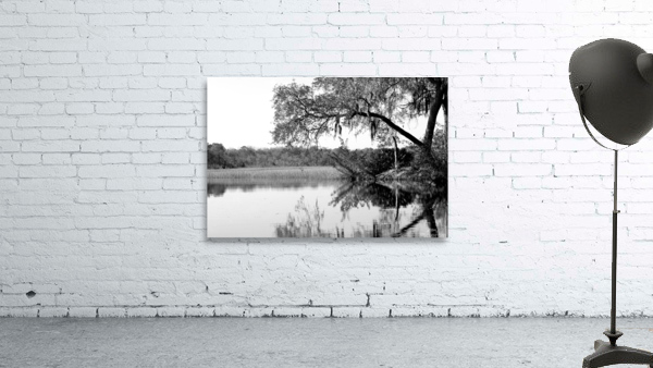 Pablo Tree Wall Preview