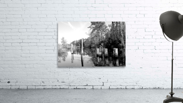 Pablo Marsh Dock Wall Preview
