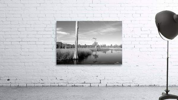 Pablo Marsh Wall Preview