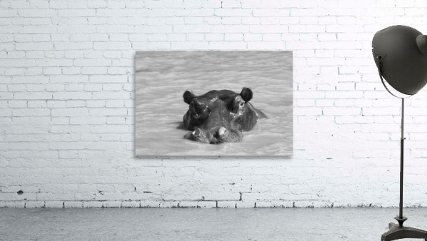 Hippo Wall Preview