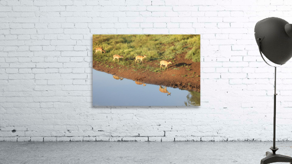 Reflection Wall Preview
