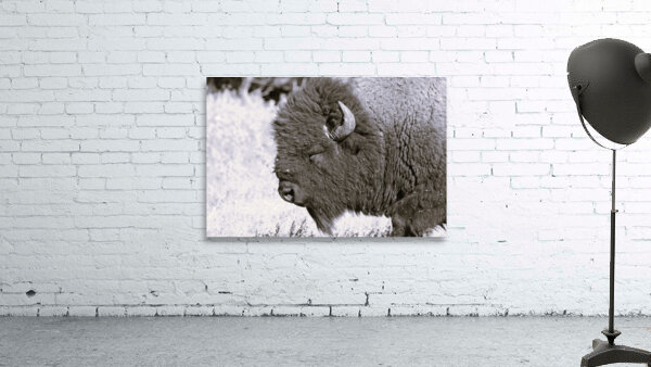 Buff3 Wall Preview