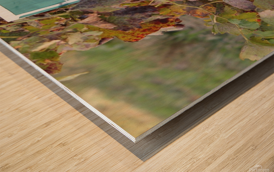 Grapes Wood print