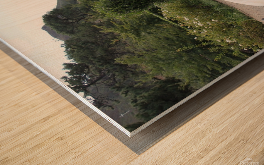 Fountain Wood print