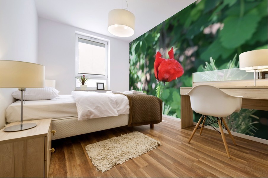 Lone poppy Mural print