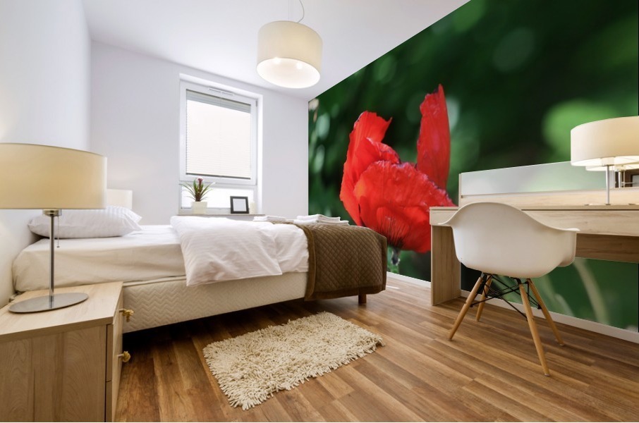 Red poppy Mural print