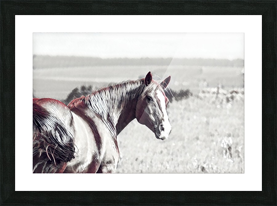 fields of freedom Picture Frame print