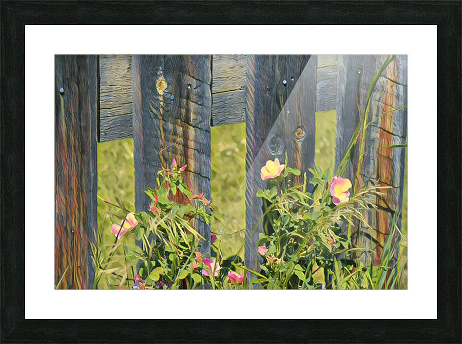 Fence post beauty Picture Frame print