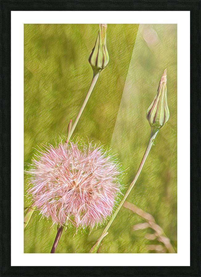 Bee fuel 2 Picture Frame print