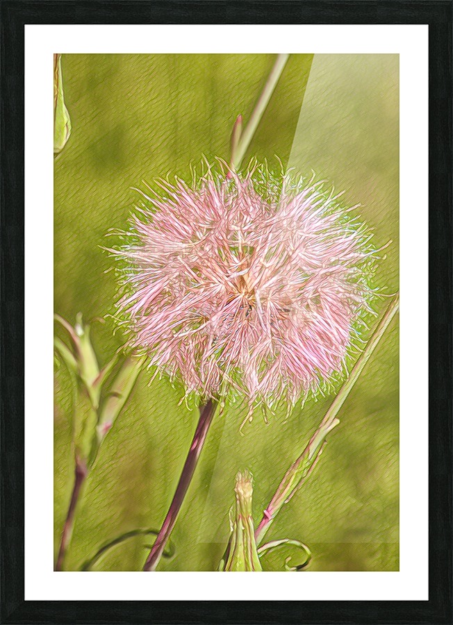 Bee fuel  Picture Frame print