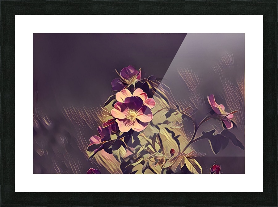 Wild roses Picture Frame print