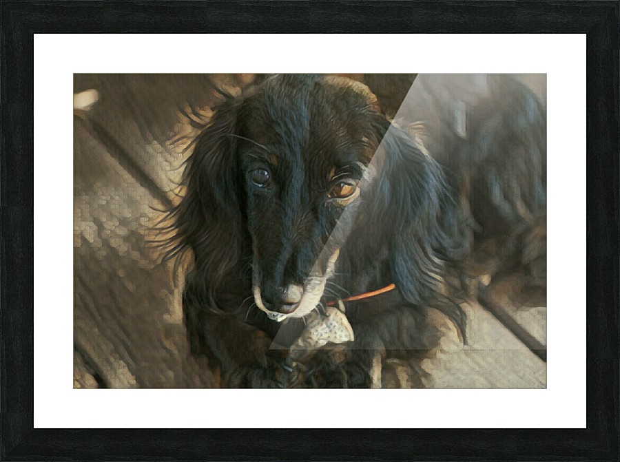 Charlie Picture Frame print