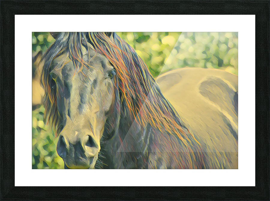 Sire Picture Frame print