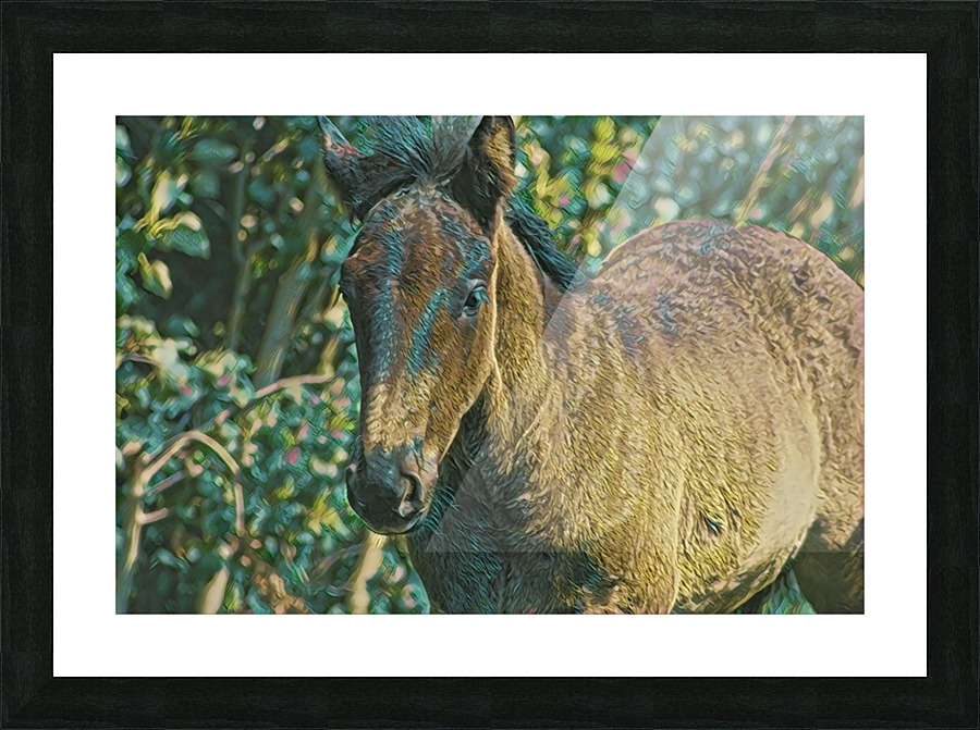 New Picture Frame print