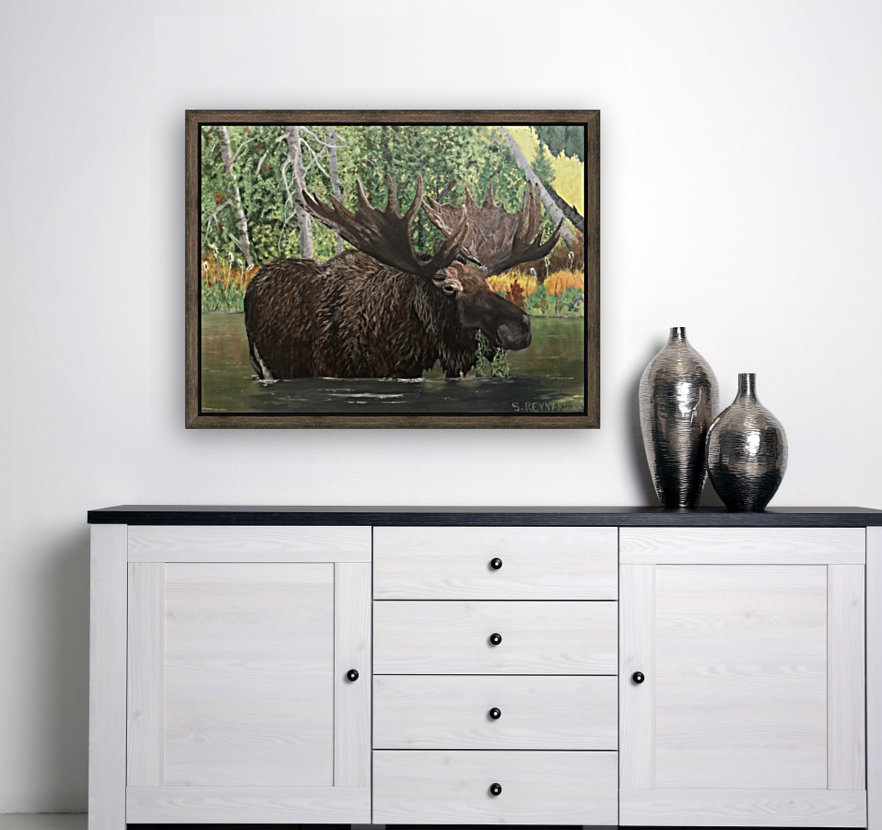 The marsh moose Reproduction
