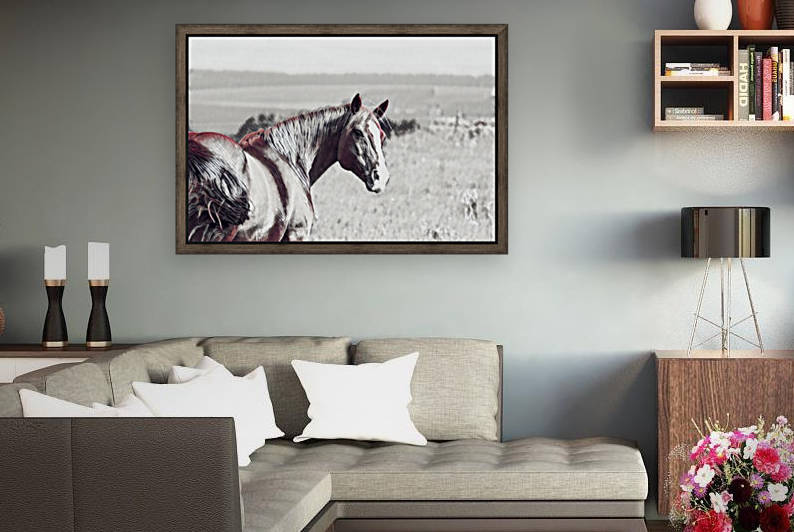 fields of freedom by Sherry Reynard