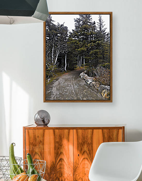 Trails in Newfoundland by Sherry Reynard