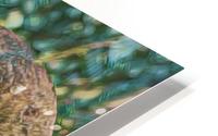 New HD Metal print