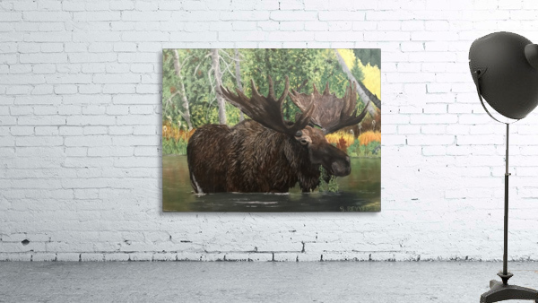 The marsh moose Wall Preview