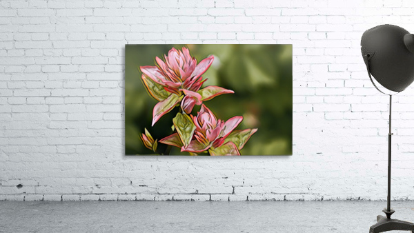 Wildflowers Wall Preview