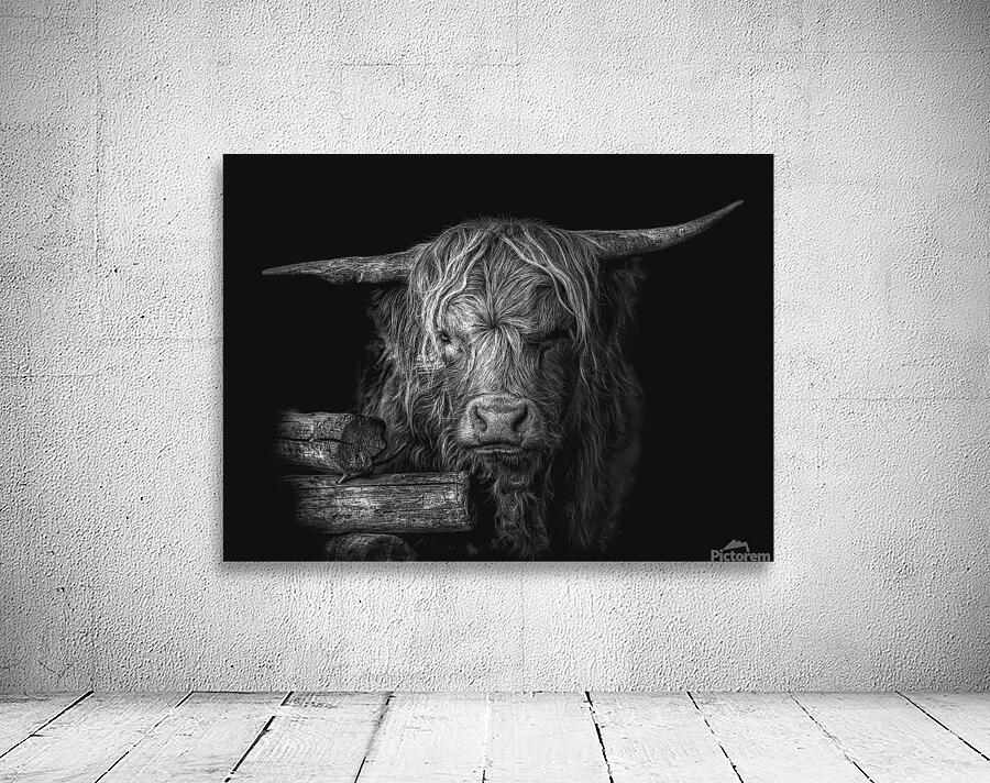 Highland Cow Monochrome  Wall Preview
