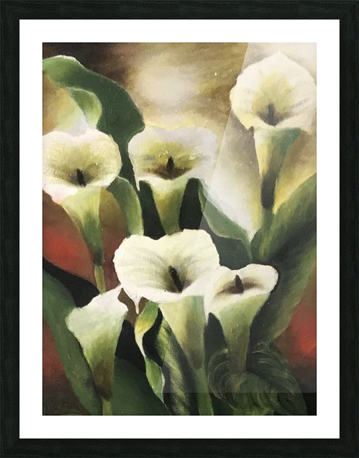 Alcatraces  Picture Frame print