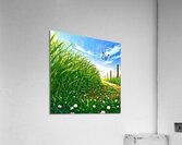 The field Acrylic Print