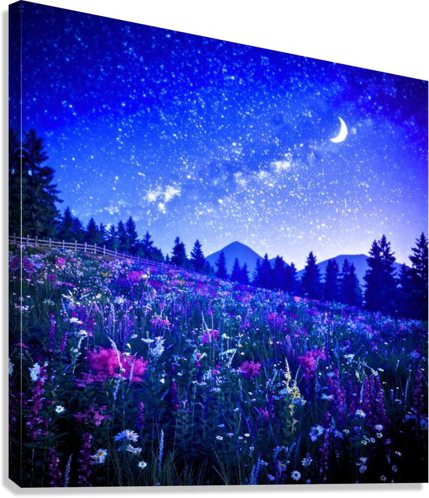 A serene night Canvas Print