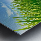 The field Metal print