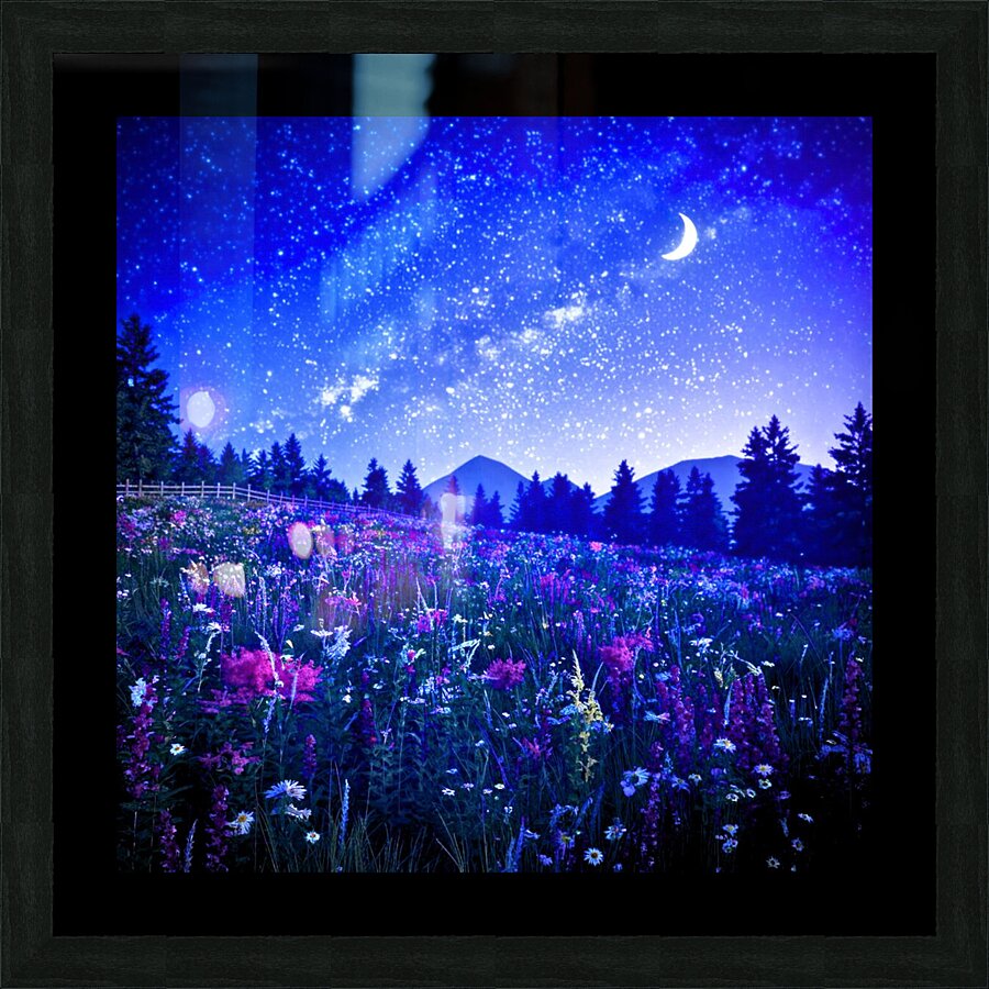 A serene night Picture Frame print