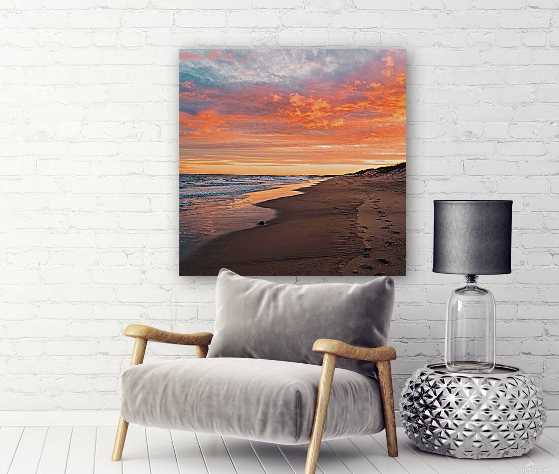 The beach  Reproduction