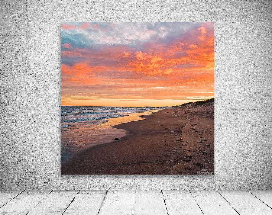 The beach  Wall Preview