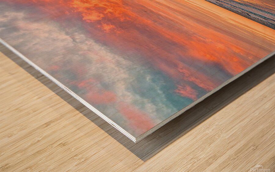 The beach  Wood print