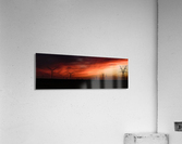Texas Smoke Acrylic Print