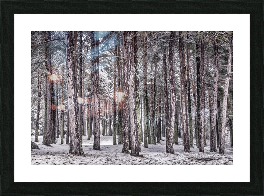 Forest Guard Picture Frame print
