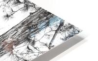 Stark Winter HD Metal print
