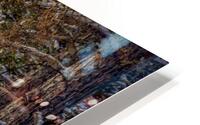 Silent Trail HD Metal print
