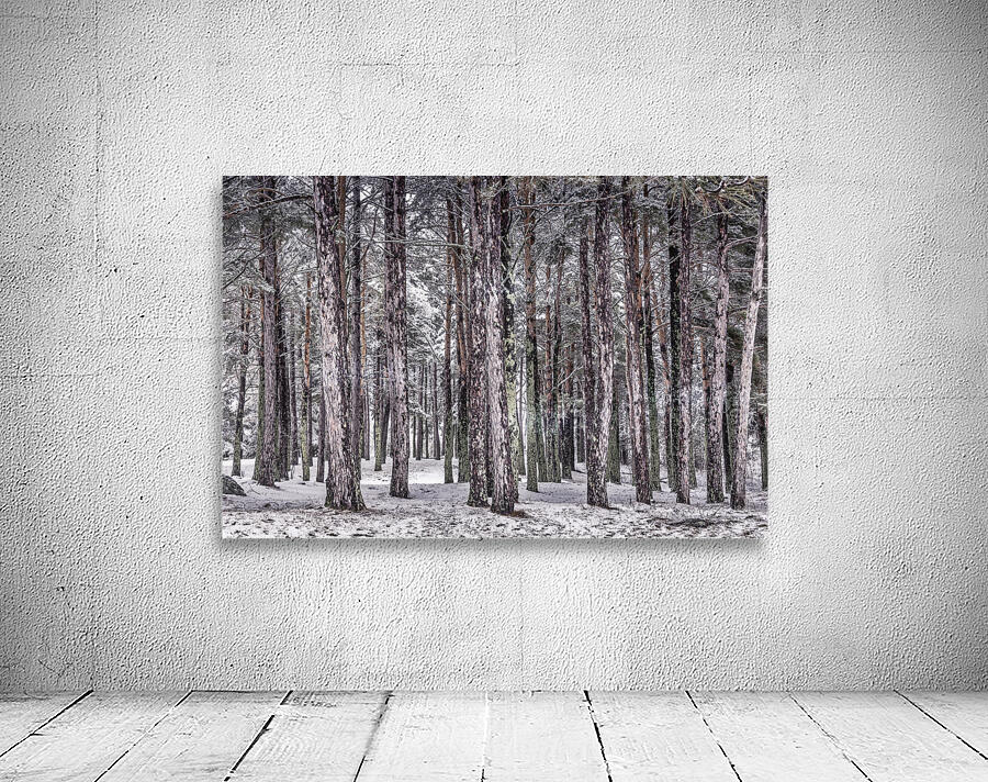 Forest Guard Wall Preview
