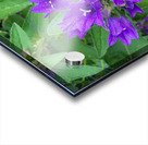 Purple flower Acrylic print